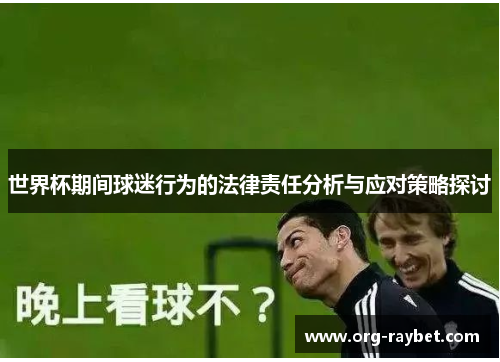 世界杯期间球迷行为的法律责任分析与应对策略探讨