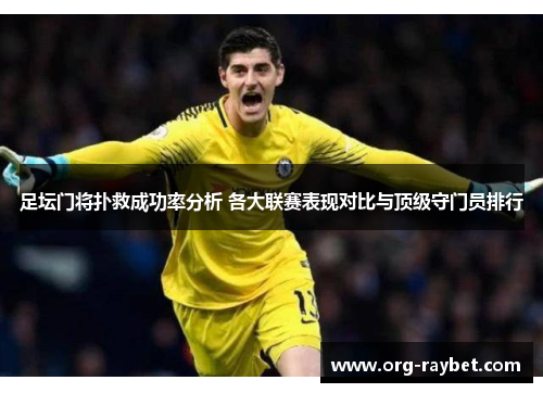 足坛门将扑救成功率分析 各大联赛表现对比与顶级守门员排行