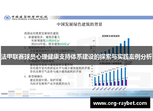 法甲联赛球员心理健康支持体系建设的探索与实践案例分析