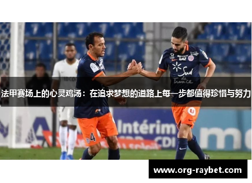 法甲赛场上的心灵鸡汤：在追求梦想的道路上每一步都值得珍惜与努力