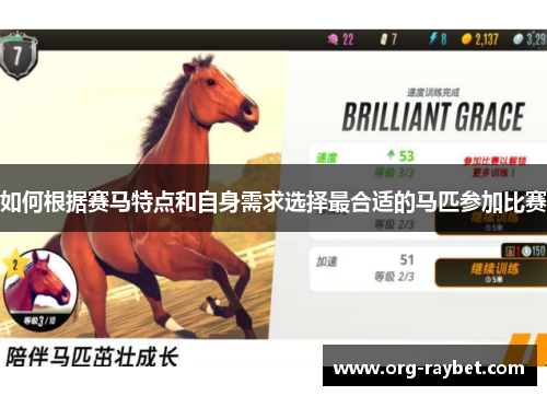 如何根据赛马特点和自身需求选择最合适的马匹参加比赛